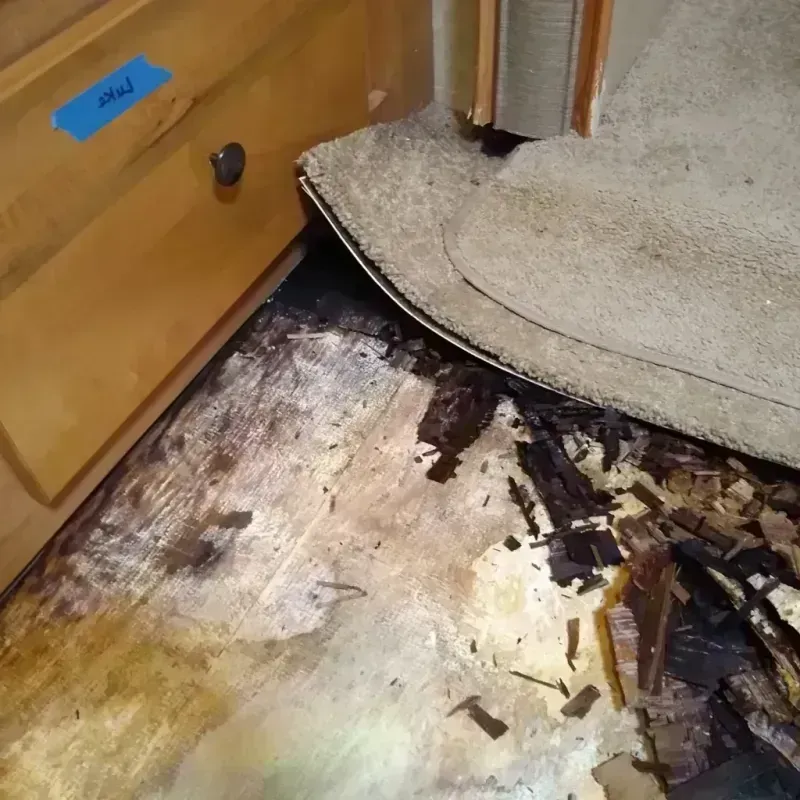 Wood Floor Water Damage in Herald Harbor, MD